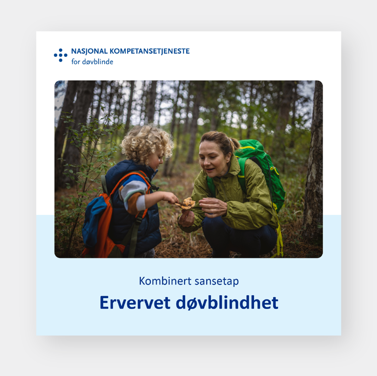 Grafisk brukergrensesnitt, applikasjon
